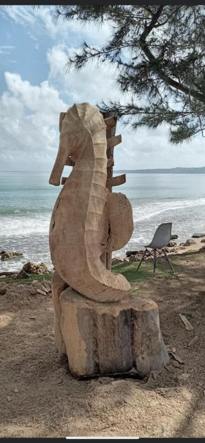 Casa Del Mar !!! Ocean Front Villa 阿瓜达 外观 照片